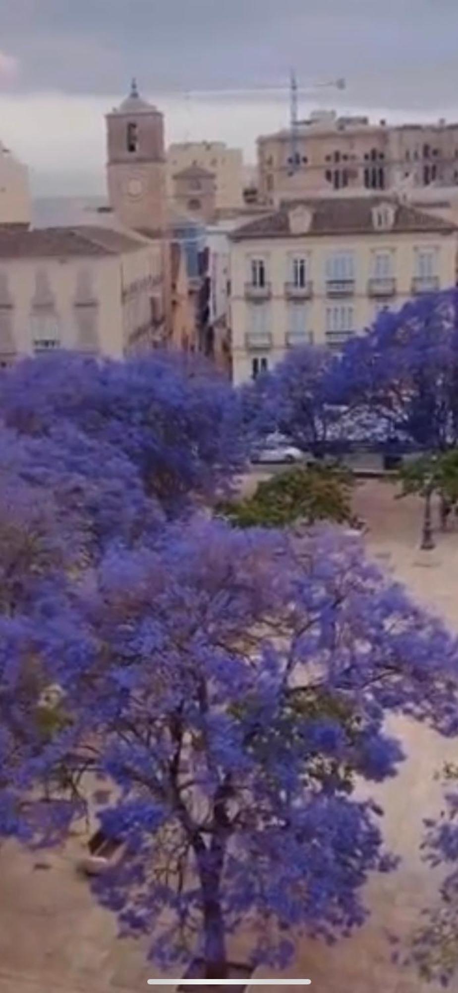 Apartamento—Centro Parking Gratis Grupos マラガ エクステリア 写真